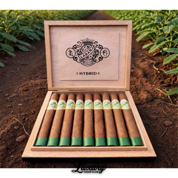 hybrid tobacco Hot Hybrids fragrant flowers Marlboro Hybrid 5 - CiggiesWorld