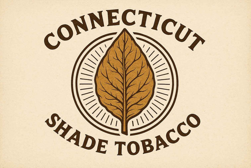 Connecticut Shade Tobacco Leaf