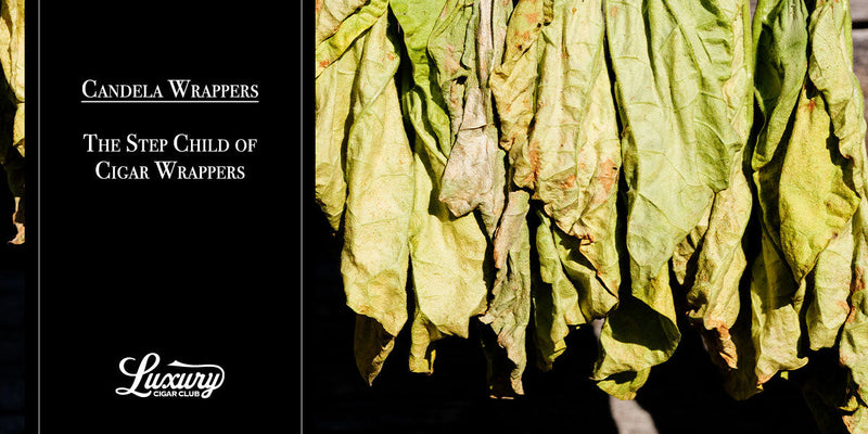 Candela Wrappers: The Step Child of Cigar Wrappers – Luxury Cigar Club