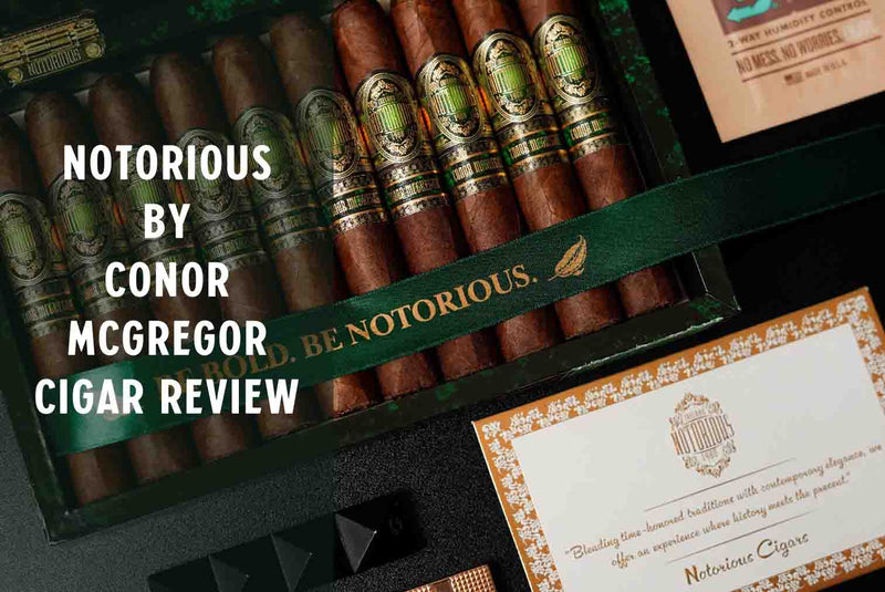 Open box of Notorious Cigars by Conor McGregor