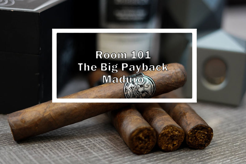 Cigar Review The Big Payback Maduro by Room 101 - Luxury Cigar Club