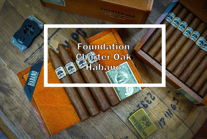 Foundation Charter Oak Habano Torpedo - Luxury Cigar Club