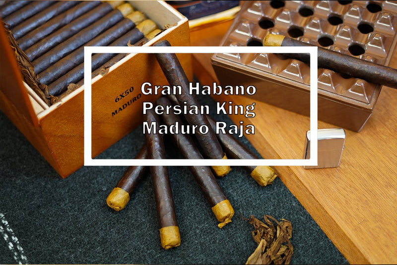 Gran Habano Persian King Maduro Rajah - Luxury Cigar Club