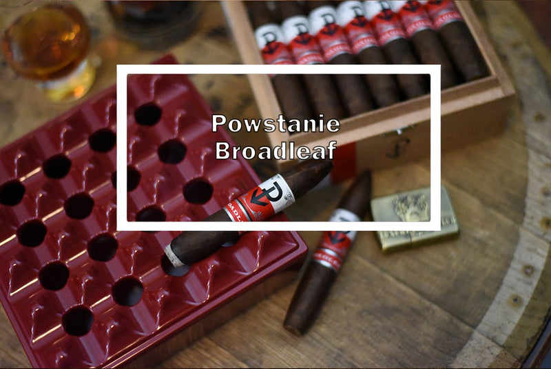 Powstanie Broadleaf Perfecto - Luxury Cigar Club
