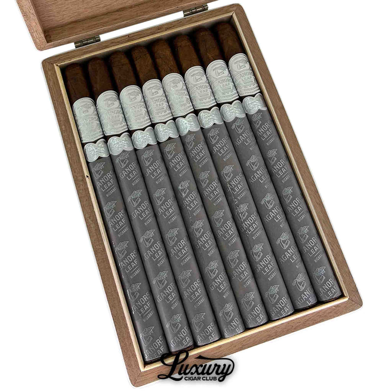 Close-up of an open box containing ten Aganorsa Leaf Aniversario Corojo Lancero cigars. Each cigar features a sleek silver band and matching gray foot sleeve printed with the Aganorsa Leaf logo and branding. The cigars are neatly arranged above the Luxury Cigar Club logo.