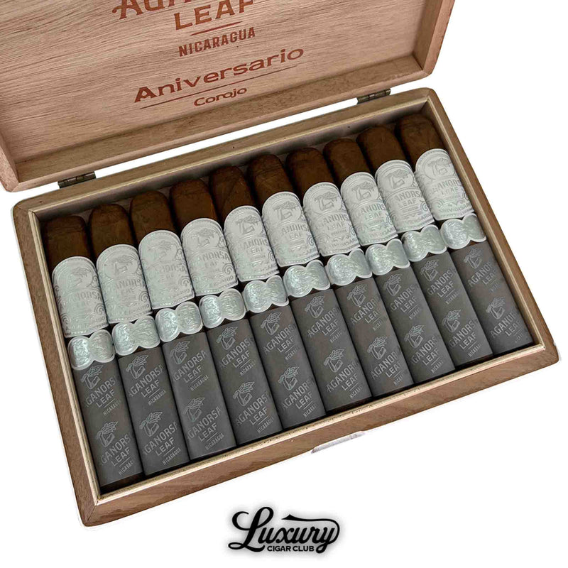 Close-up of an open box containing ten Aganorsa Leaf Aniversario Corojo Robusto cigars. Each cigar features a silver primary band and a gray foot sleeve with the Aganorsa Leaf logo. The inside lid is engraved with "Aganorsa Leaf Aniversario Corojo." The Luxury Cigar Club logo is shown below the box.