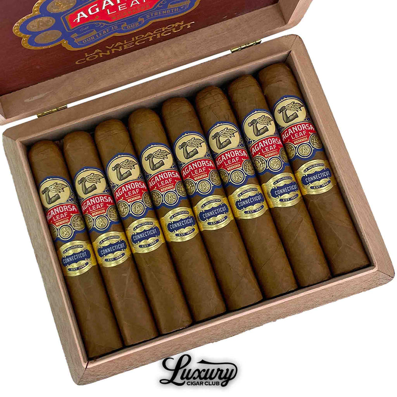 Close-up of Aganorsa Leaf La Validación Connecticut Gran Robusto cigars with light golden Connecticut wrappers inside a wooden box at Luxury Cigar Club.