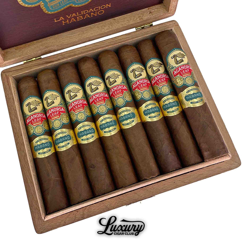 Close-up view of Aganorsa Leaf La Validación Habano Gran Robusto cigars inside an open box with detailed red, gold, and blue cigar bands, Luxury Cigar Club branding.