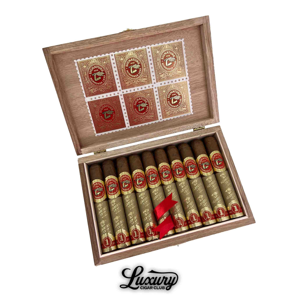 Open box of Aganorsa Leaf Signature Selection Robusto cigars wrapped in gold foil with red bands and decorative inner lid, from Luxury Cigar Club.