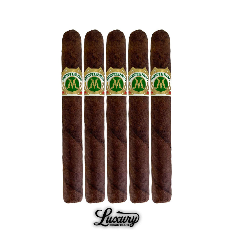 Five Arturo Fuente Montesino Maduro Diplomaticos cigars lined up from Luxury Cigar Club.