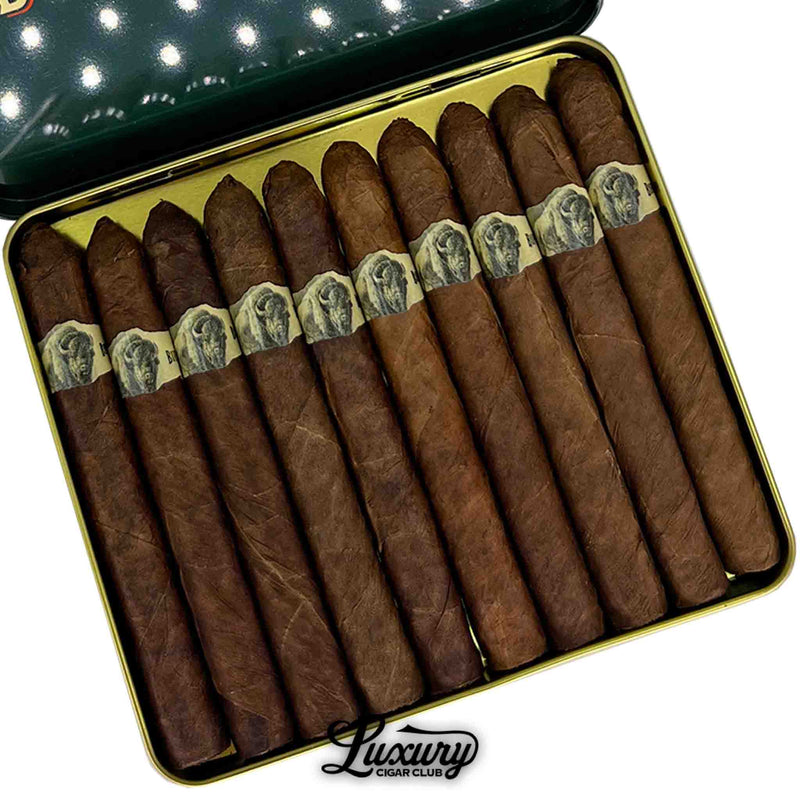 Close-up of Buffalo Trace Explorers Cigarillos in open tin, highlighting dark brown wrappers and buffalo head cigar bands, with Luxury Cigar Club branding.