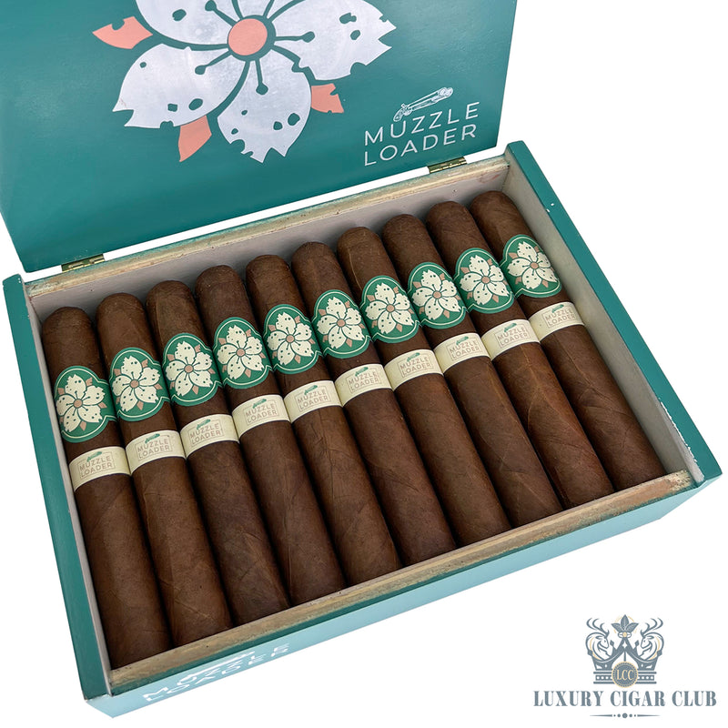 Buy Room 101 Muzzle Loader Cigars Online