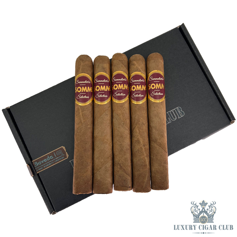 Buy Somm BDX Blanc Box Pressed Toro Limited Edition Cigars Online