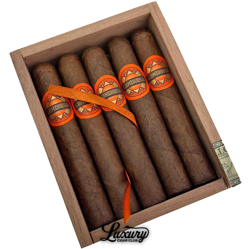 Close-up of Crowned Heads Luminosa Petite Corona cigars neatly arranged inside a natural wood box with rich brown wrappers, bright orange “Luminosa” bands, and orange ribbon detail. Luxury Cigar Club logo underneath.