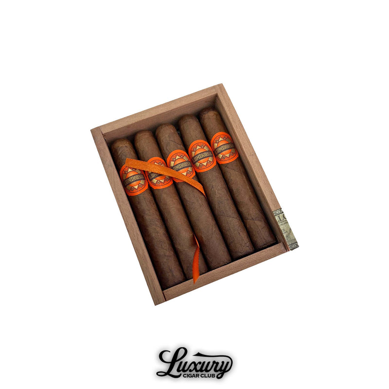 Open wooden box of Crowned Heads Luminosa Petite Corona cigars featuring medium-brown wrappers and vibrant orange-and-gold bands with matching ribbon accents. Luxury Cigar Club logo below.