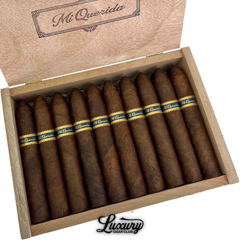 Close-up of the Dunbarton Tobacco & Trust Mi Querida Gordita Gordo cigar, highlighting its dark wrapper, expert roll, and signature bold smoking profile.