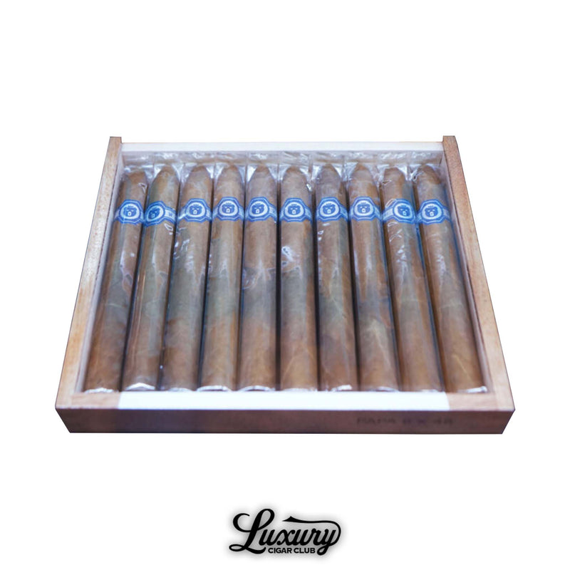 Warped El Oso Blanco Limited Edition 2025