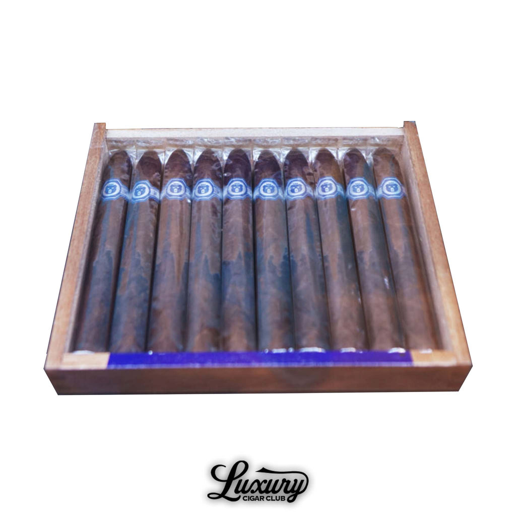 Warped El Oso Limited Edition 2025