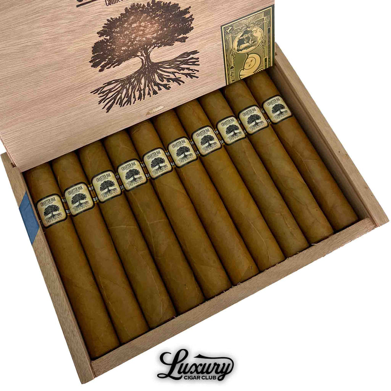 Close-up view of a wooden box of Foundation Charter Oak Connecticut Shade Grande cigars, featuring 10 light brown cigars with detailed bands showing an oak tree design. The box lid highlights matching tree artwork, a gold currency-style emblem, and “Luxury Cigar Club” branding at the bottom.