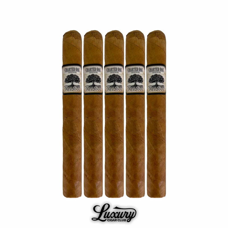 Five Foundation Charter Oak Connecticut Petite Corona cigars with silky Connecticut Shade wrappers and black-and-white tree bands lined up neatly on a white background. Luxury Cigar Club logo below.