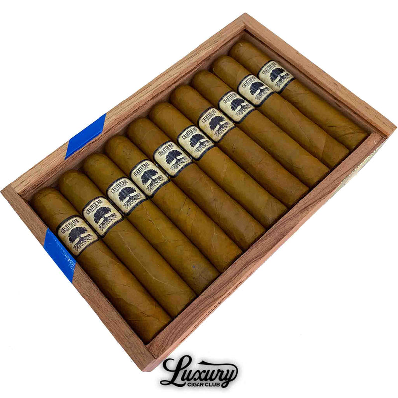 Open box of Foundation Charter Oak Connecticut Rothschild cigars with light Connecticut Shade wrappers and blue CT Shade banding – available at Luxury Cigar Club