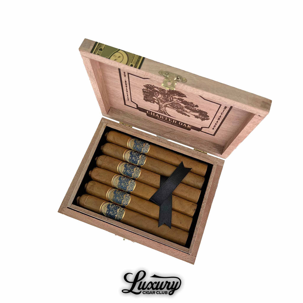 Open box of Foundation Charter Oak Pegnataro Limited Edition Corona cigars. The box contains seven light-brown cigars neatly tied with a black ribbon. Each cigar features a dark blue and gold band showcasing the Charter Oak tree logo. The inside lid displays an engraved Charter Oak tree graphic and branding, with a gold decorative clasp on the box and the Luxury Cigar Club logo below.