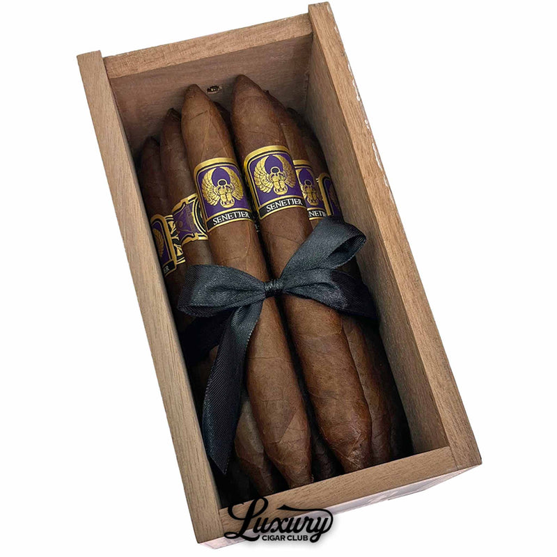 Close-up of a box of Foundation Highclere Castle Senetjer Limited Edition cigars, featuring a bundle of rich brown, torpedo-shaped cigars tied with a black ribbon. Each cigar displays a striking purple and gold band with Egyptian-inspired winged scarab artwork and the text “Senetjer,” with “Luxury Cigar Club” branding below.