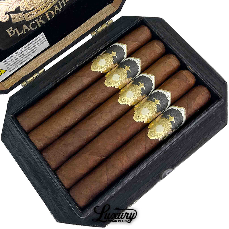 Close-up of Gran Habano Black Dahlia Corona Gorda cigars inside a black box with ornate gold and black bands from Luxury Cigar Club.