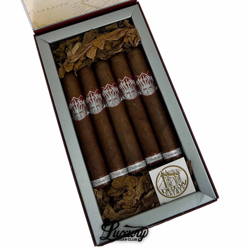 Close-up of five Isla del Sol Maduro Robusto cigars in an open box, featuring rich maduro wrappers and silver sunburst logo bands.