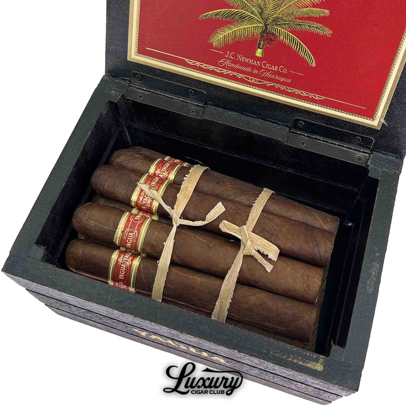 Close up image inside the Yagua cigar box showing rustic dark brown J.C. Newman Yagua Toro cigars tied with palm fiber ribbon and red cigar bands visible with Luxury Cigar Club branding for premium cigars online