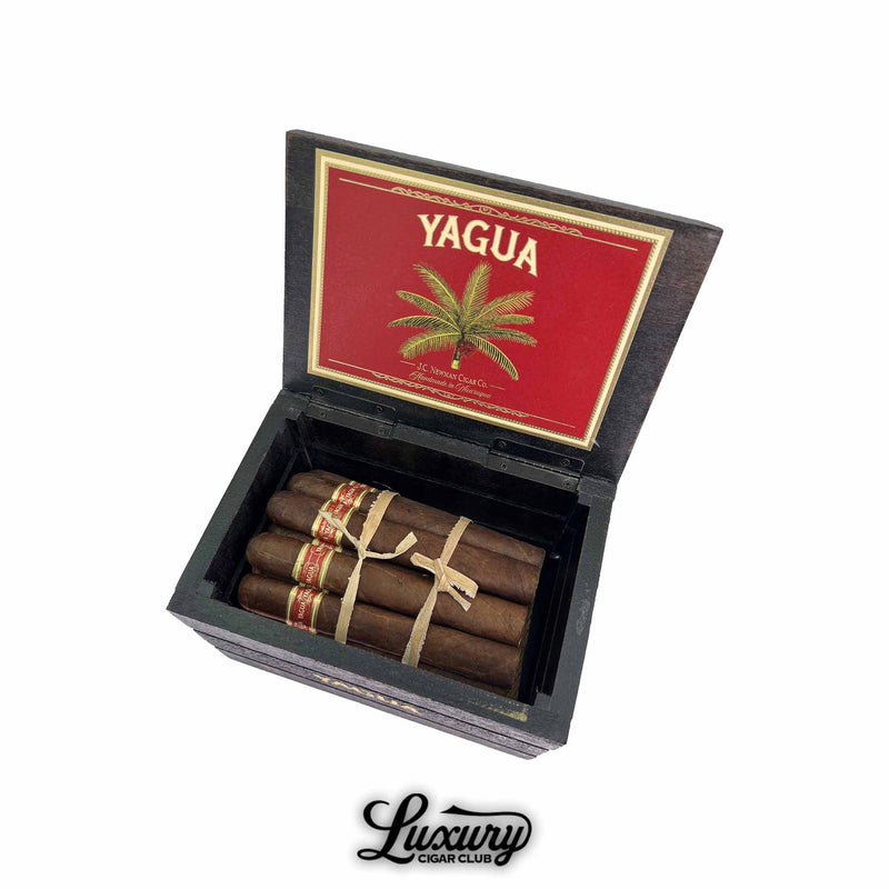 Image of an open black Yagua cigar box with a red interior lid featuring palm tree artwork with rustic dark brown J.C. Newman Yagua Toro cigars bundled inside with Luxury Cigar Club branding at the bottom for sale online