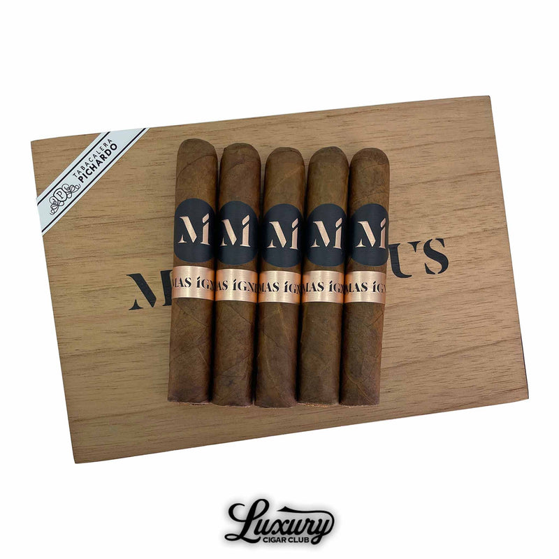 Five Luciano Mas Igneus Ancho cigars with rich brown wrappers and stylish black and copper bands, displayed on a natural wood box featuring Mas Igneus branding, from Luxury Cigar Club.