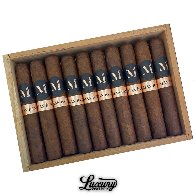 Box of Luciano Mas Igneus Excelente cigars neatly arranged, featuring dark brown wrappers and black bands with copper accents, displayed by Luxury Cigar Club.