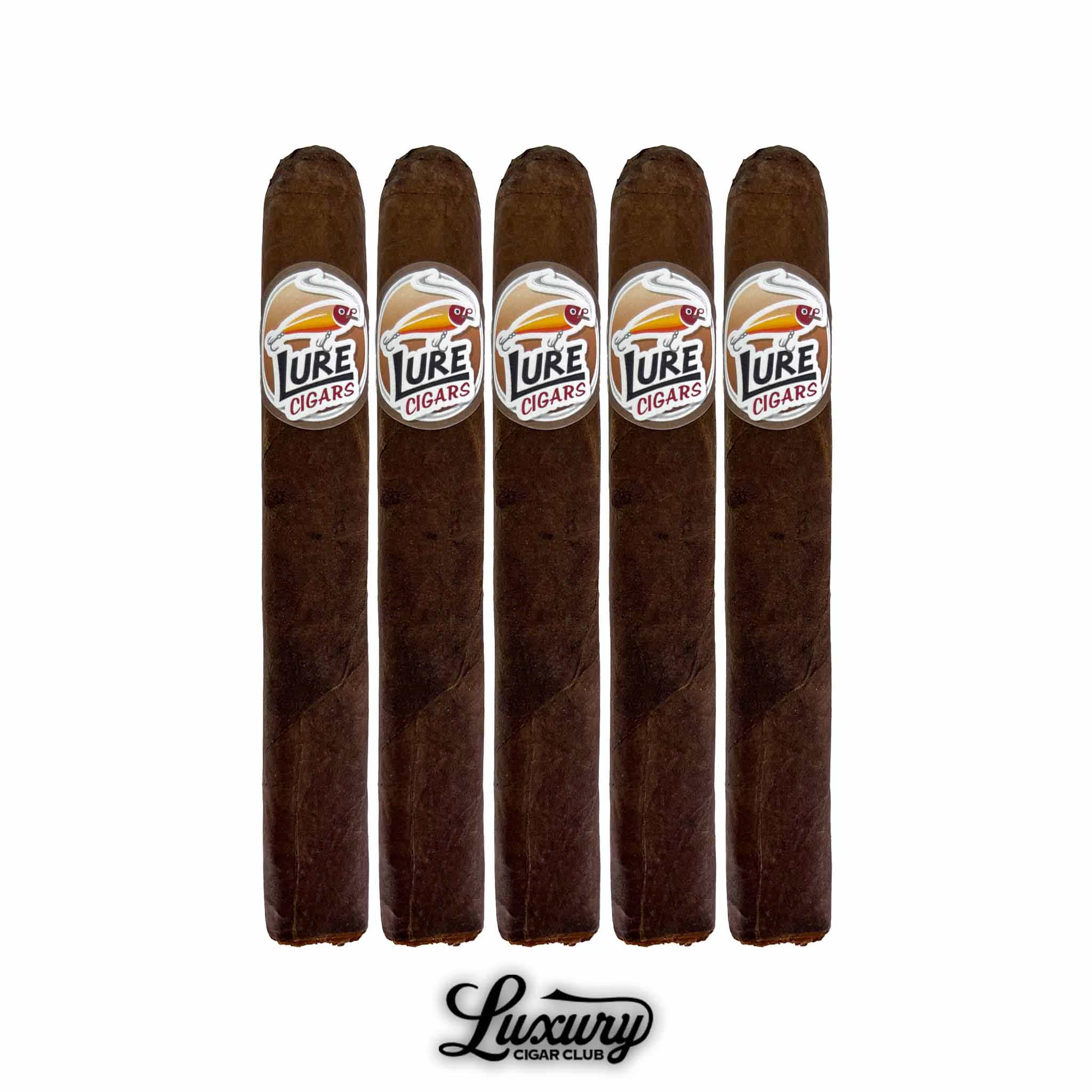 Lure Maduro – Luxury Cigar Club