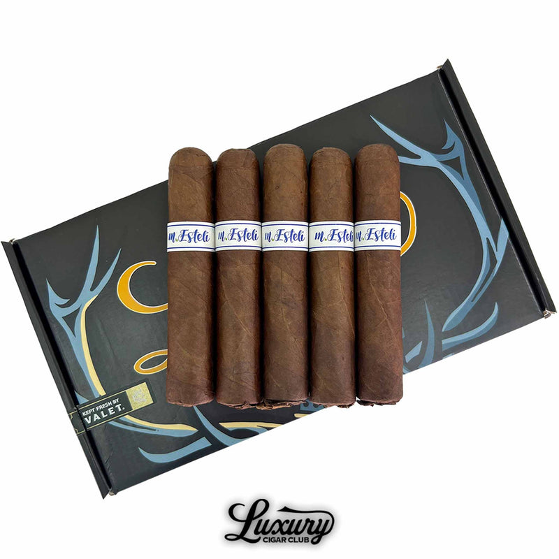 Close-up of MBombay M.Esteli Robusto cigars highlighting smooth, rich brown wrappers and refined white-and-blue bands, featured by Luxury Cigar Club.