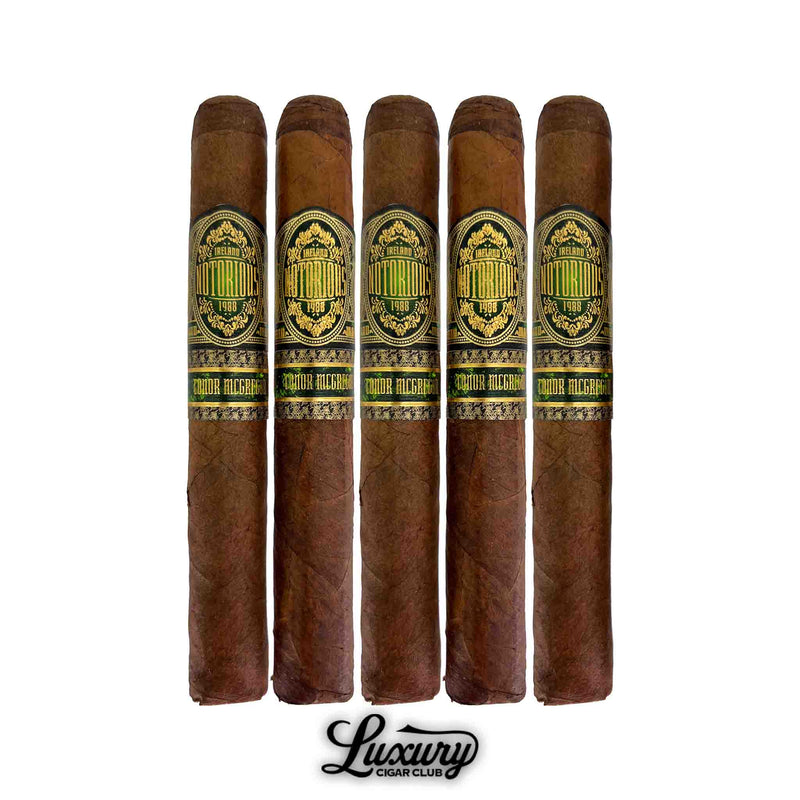 Notorious Toro cigars by Conor McGregor in a five-pack lineup with dark brown wrappers and black-and-gold bands, presented by Luxury Cigar Club.