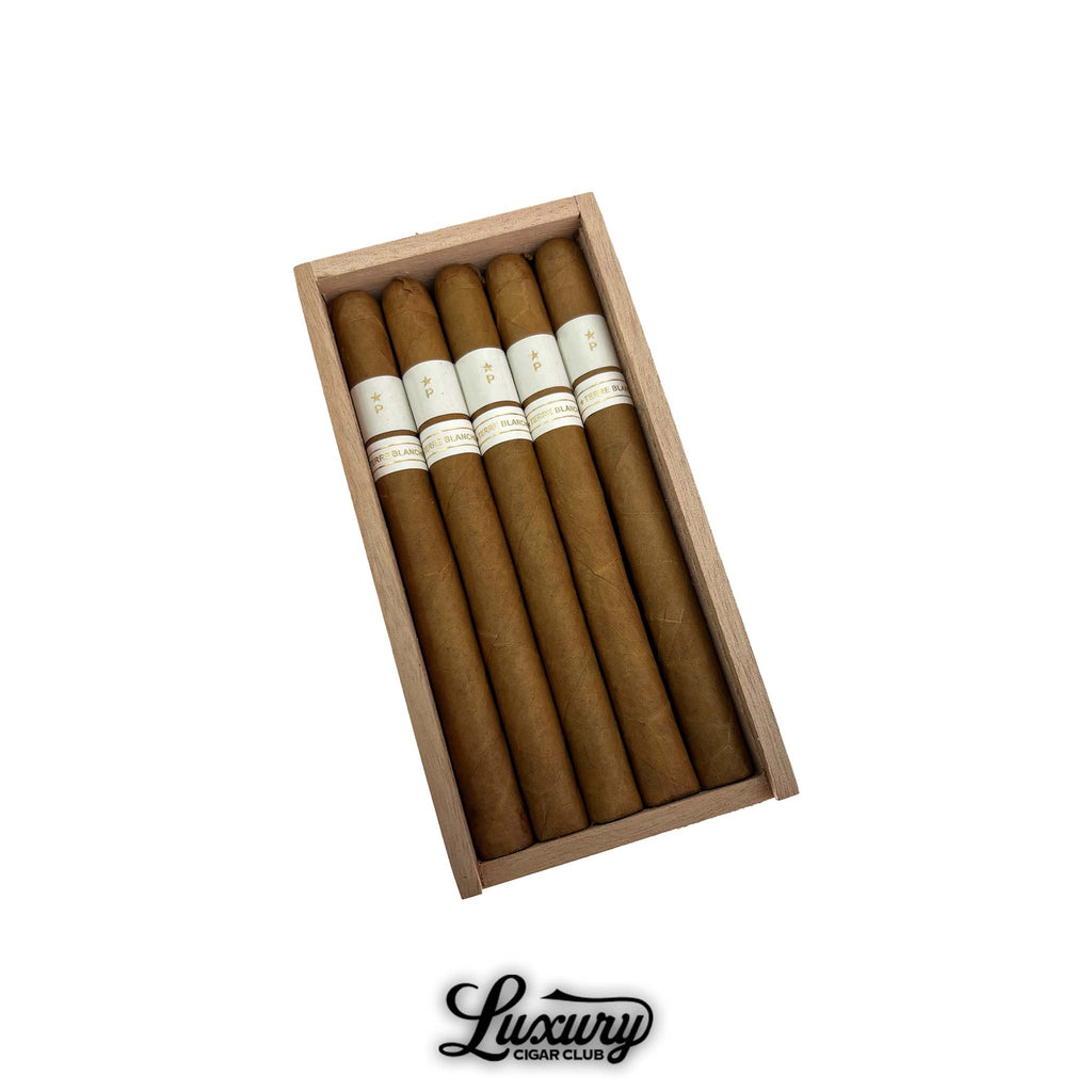 Open wooden box containing five Patoro Terre Blanche Lancero cigars neatly arranged side by side. Each cigar features a smooth Connecticut wrapper and white gold-accented bands. Luxury Cigar Club logo underneath.