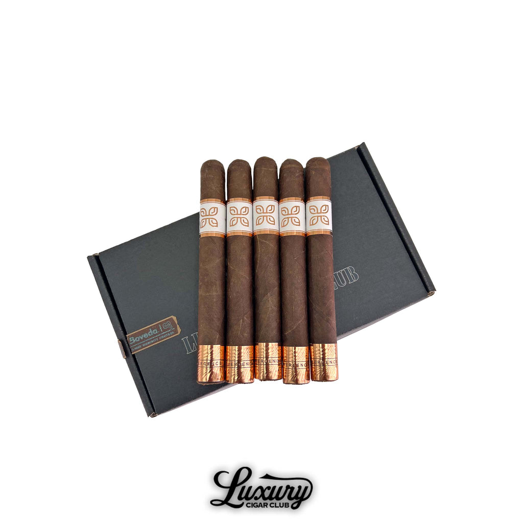 Peter James Emergence Toro Elegance cigars displayed on a sleek black Luxury Cigar Club box, featuring rich brown wrappers and metallic copper foot bands.