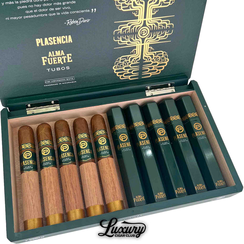 Close-up of Plasencia Alma Fuerte Colorado Claro Sixto I Tubo cigars showcasing rich brown wrappers and sleek green tubos with gold accents inside a luxurious box from Luxury Cigar Club.