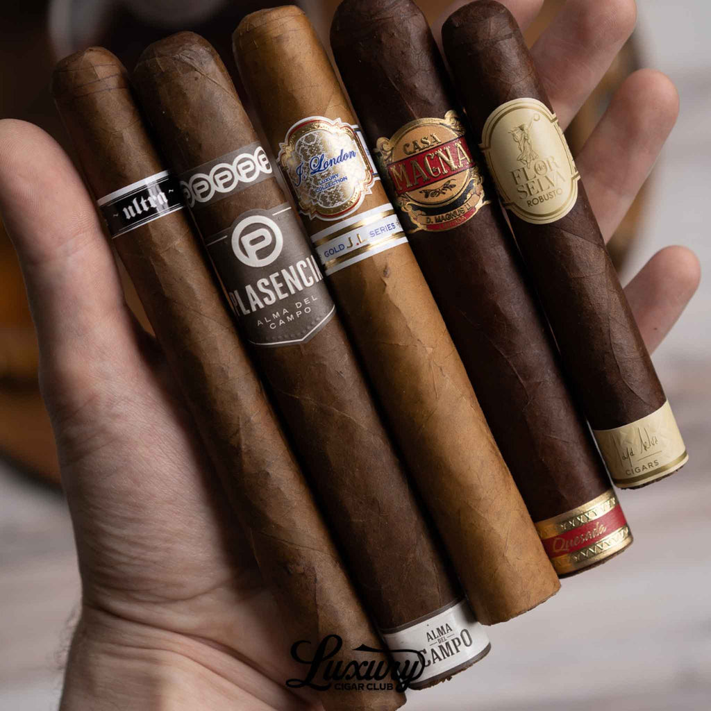 Hand holding five premium cigars from the Luxury Cigar Club Platinum Subscription, including blends from Plasencia, Casa Magna, and Flor y Sel, showcasing rich wrappers and detailed cigar bands.