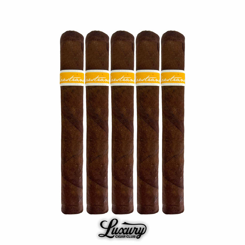 RoMa Craft Maestranza Caballería Valencia 5-pack cigars highlighting rich Maduro tones and refined craftsmanship, available through Luxury Cigar Club.