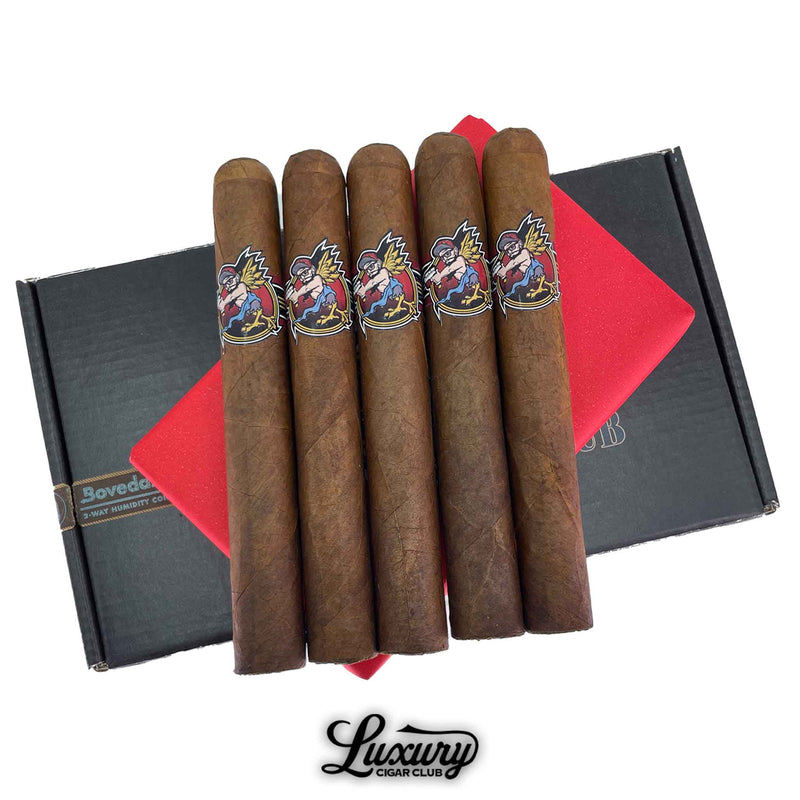 Room 101 Cherubs Scarlett Hogg LCC Exclusive Toro cigars with bold red bands displayed in a 5 pack at Luxury Cigar Club.