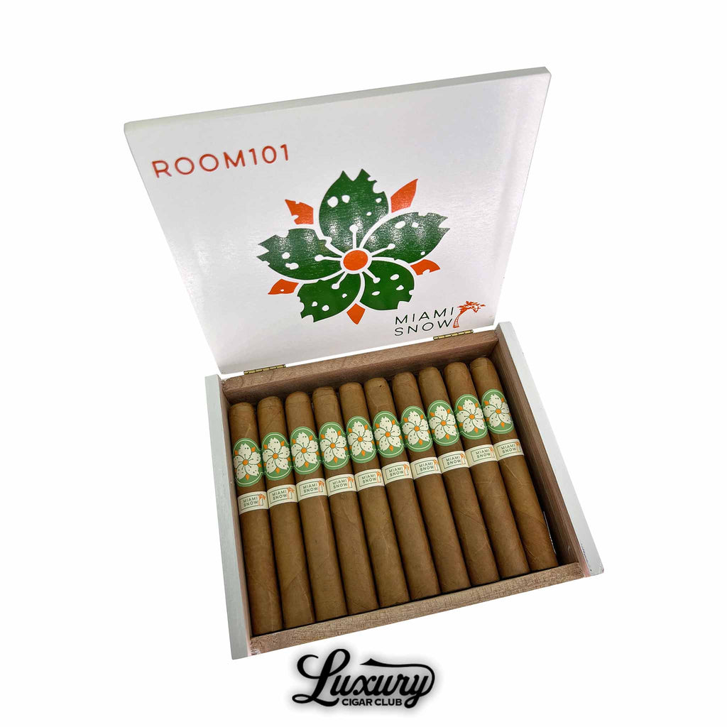 Room 101 Miami Snow