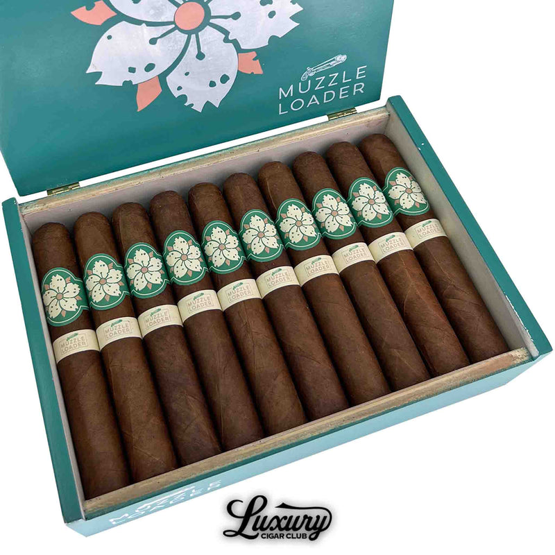 Close up of Room101 Muzzle Loader Gordo cigars in a teal box, highlighting the dark brown wrapper and distinctive green and cream floral cigar bands from Luxury Cigar Club.