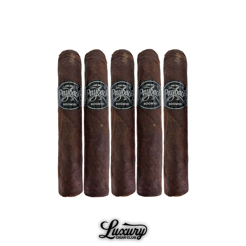 Five Room101 The Big Payback Maduro Papi Chulo cigars standing upright in a row with deep chocolate brown wrappers and black Payback bands, photographed on a white background for Luxury Cigar Club. High quality close up image showing rustic maduro leaf texture and bold branding.
