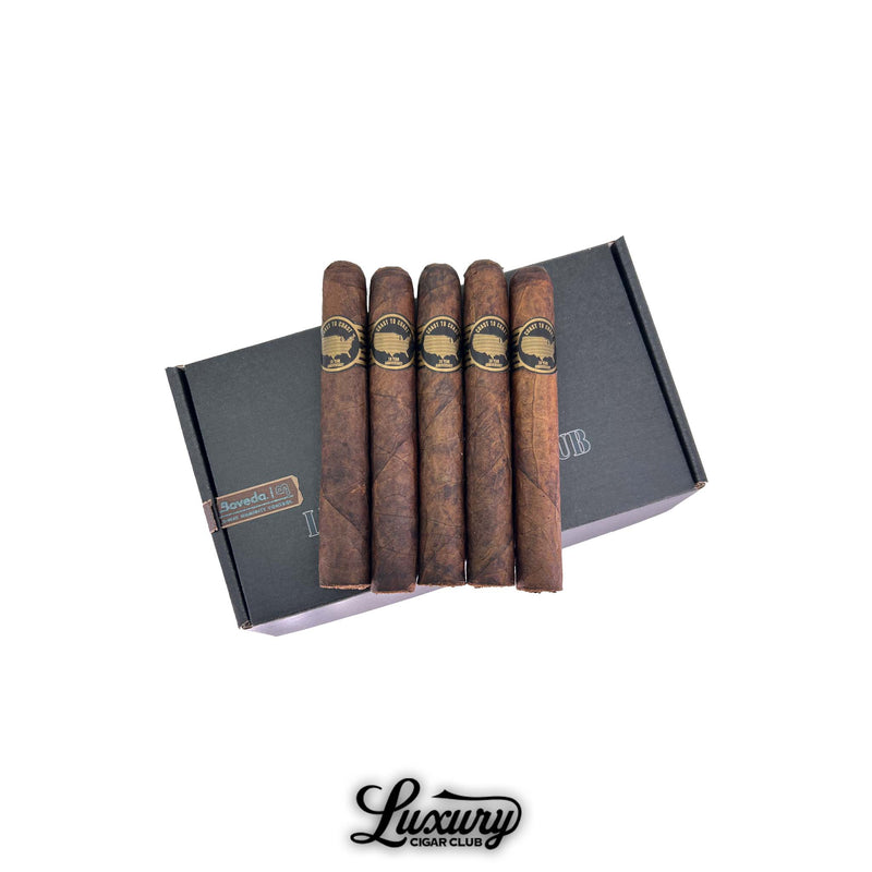 Five dark brown Sinistro 10 Year Anniversary toro cigars standing upright on top of a closed Luxury Cigar Club branded mailer box, with gold USA silhouette bands and rustic Maduro leaf texture visible.