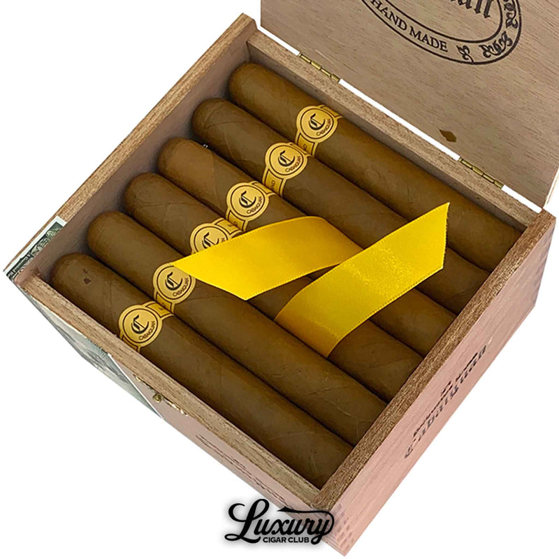 Close-up of Tatuaje Cabaiguan Robusto Extra cigars showing golden-brown wrappers, gold logo bands, and yellow ribbon inside an open cedar box, presented by Luxury Cigar Club.
