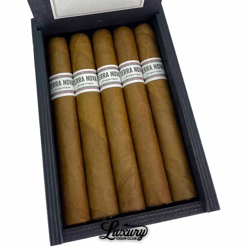 Close-up of Terra Nova Araperique Toro cigars in a black box, highlighting smooth golden-brown wrappers and clean white Terra Nova Araperique bands. Luxury Cigar Club logo beneath.