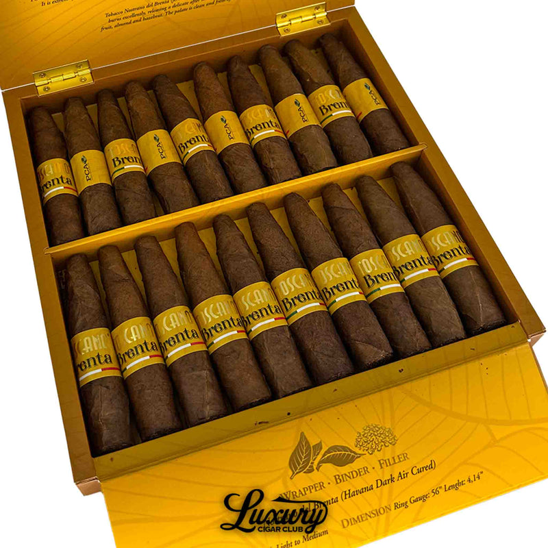 Close-up of open box of Toscano Brenta cigars with gold bands, arranged in two rows inside yellow packaging, Luxury Cigar Club logo