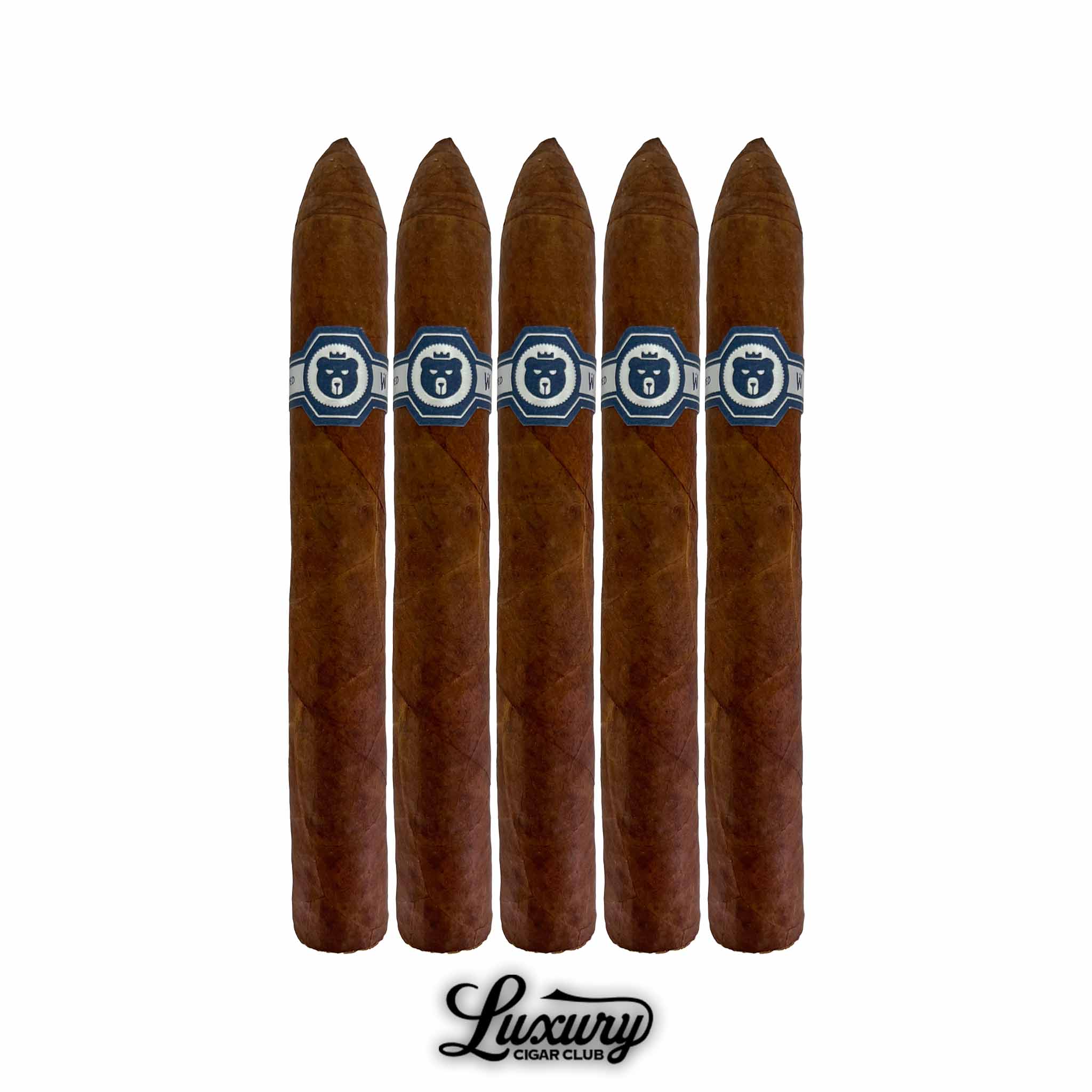 Warped El Oso Limited Edition 2025 – Luxury Cigar Club